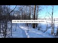 Sound of walking in the snow | A satisfying walk