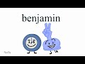 If BFDI Characters Were Animatic Battle Teams
