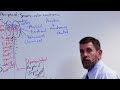 Central Sensitization Syndrome (CSS) - Dr. Christopher Sletten