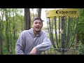 HOW TO GET SNAP - Disc Golf