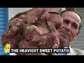 20 Biggest Fruits & Vegetables Ever Recorded