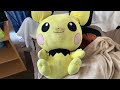 Bigmore’s Pichu Plush (April 2023)