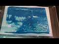 Enlarging cyanotypes from 35mm film negatives