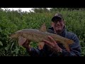 Barbel on the Nidd