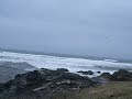 Japan Tsunami in Yachats Oregon video 4