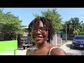 Belize on a budget Vlog: Iguana EcoSanctuary 🦎// Sandbar Hostel review // Chocolate making class