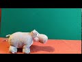 Stop motion video