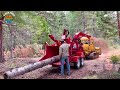 50 Amazing Firewood Processing Techniques At Another Level