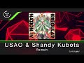 USAO & Shandy Kubota - Remain