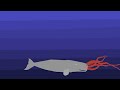 Sperm Whale vs Giant Squid