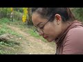 Harvest tomatoes, cabbage and sugarcane to sell at the market, and make bamboo ladders