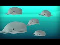 @Octonauts - Dolphins Make Great Friends | Compilation | Wizz Cartoons