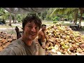 Jungle Treehouse and Tropical Waterfall Adventure | Monkeys | Wild Food | Coconut Processing | Fire