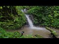 Relaxing Waterfall Sounds for Sleep | Fall Asleep & Stay Sleeping with Water White Noise | Zoom H6