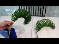 Leaf Manipulation - Braiding (Palm leaf)