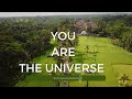 YOU ARE THE UNIVERSE