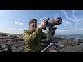Cemlyn Bay - a day of wildlife Photography