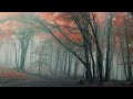 Vivaldi - Outono, Alegro - As Quatro Estações (Violin Concerto In F, The Four Seasons Autumn)