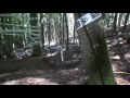 Bikepark Todtnau Downhill (HD)