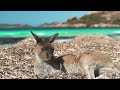 Australia's Beaches, Here is some off the best