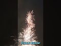 Best of show 150 shot firework     #fireworks  #4thofjulyfireworks #4thofjuly