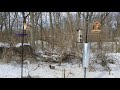 Ohio birds and wildlife in the backyard. Probably the most boring video on YouTube.