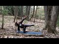 Day 1 33 minutes full practice + savasana (intermediate yoga)