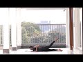 Day 1 Yoga For Beginners | 21 Days of Yoga