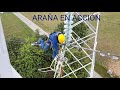 TRABAJOS EN LÍNEAS DE ALTA TENSIÓN (ARAÑA)