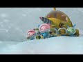 @Octonauts -  ❄️ Snow Storm Rescues ⛑️ | 60 Mins+ Compilation | Underwater Sea Education for Kids