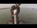 Delta Sturgeon Fishing 2021 Release