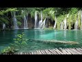 Calming music for nerves 🌿 healing music for the heart and blood, relaxation #6