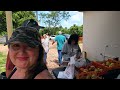 Buying MANGOS at TROPICAL ACRES FARMS