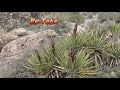 Dog Canyon Trail - Alamogordo New Mexico