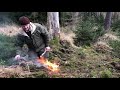 Aspen Bowdrill in the Boreal Forest