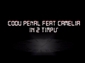 Codu' Penal - In2timpu feat. Camelia (OFFICIAL SINGLE)