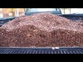 what they DON'T tell you about WOOD CHIPS...