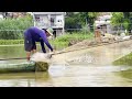 Mưu sinh xúc cá mùa nước nổi - Sông Nước Cửu Long - Nguyễn Hùng