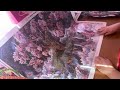 UNBOXING Gorgeous Gift / Diamond Art Club (DAC) /  Cherry Blossom Tree / Dakota Daetwiler