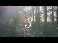 [spiritual & Mysterious video] Beam rays from the sun & UMA (Mysterious existence). Shrine in Japan.