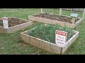 Garden Update - March 19, 2020