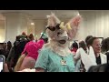 Gateway Furmeet 2023