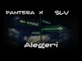 Pantera E.M.C. & SLV - Alegeri