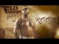 Flo Rida - R.O.O.T.S. [Official Audio]