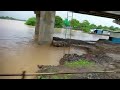 Wardha River Overflow | Patala | Chandrapur
