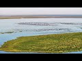 cueillette en baie d'Authie