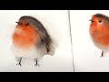 Beginner Watercolor Tutorial - How To Paint A Cute Robin Bird In 2 Ways Step By Step