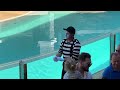 Let’s hype up your Wednesday | Seaworld Mime | Rob the Mime