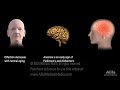 Olfactory System: Anatomy and Physiology, Pathways, Animation.