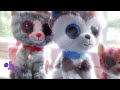 Treat You Better (A Beanie Boo Music Video🧸) Thunder Boos (First Post!)
